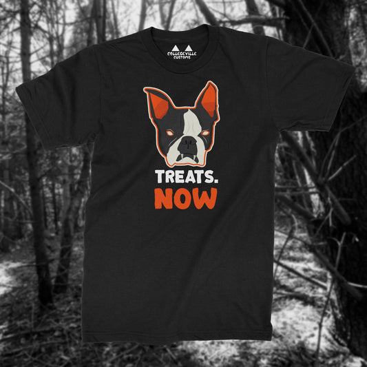 TREATS NOW Funny Boston Terrier Vampire Dog Shirt